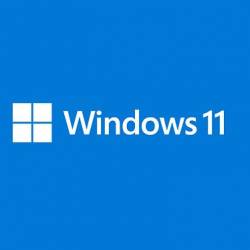MICROSOFT LICENCE WINDOWS...