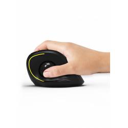 Port Designs - Souris...