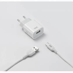 WE - Chargeur Secteur 12W...